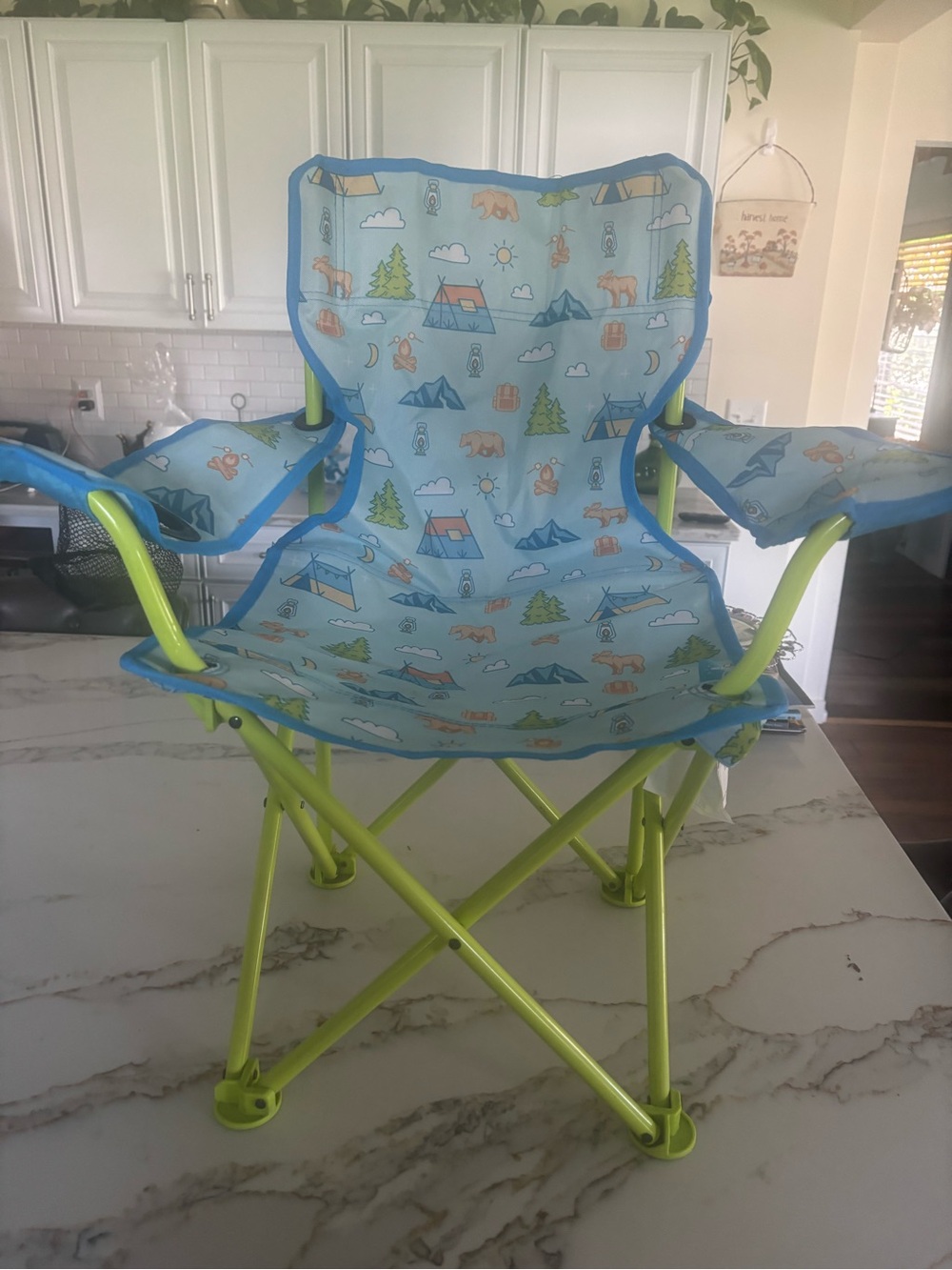 Kids Blue Camping Print Folding Chair